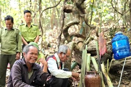Cả làng người Jrai lên núi cúng 'Thần rừng'