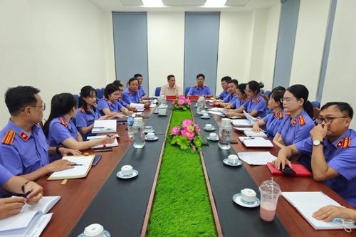 VKSND cấp cao tại TP HCM quyết tâm bảo vệ kháng nghị