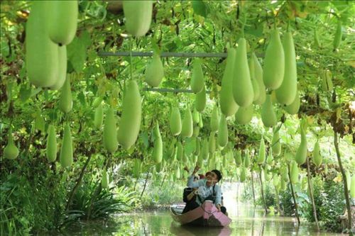Cần những hành động cụ thể vì môi trường du lịch xanh