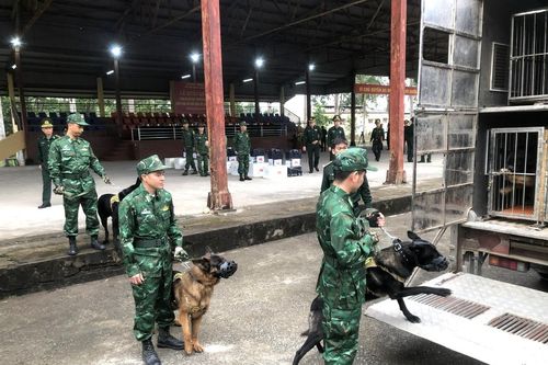 Tham gia cứu hộ, cứu nạn khẩn cấp ở Myanmar là nhiệm vụ quốc tế cao cả