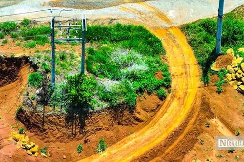 Lâm Đồng: Nhiều cột điện trung thế tuyến tránh phía Nam đang bị 'bức tử'
