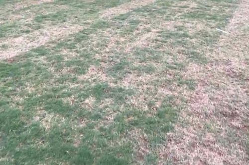 HLV Vũ Tiến Thành: Mặt sân Mỹ Đình xấu như sân huyện Đắk Đoa