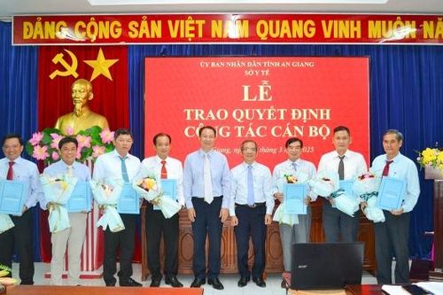 Nhân sự địa phương: Hải Dương, An Giang, TP. Hồ Chí Minh kiện toàn nhân sự