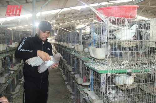 Chuyện bán nhà, vay lãi để khởi nghiệp