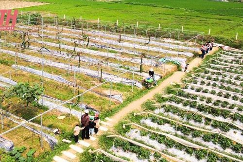 Điểm đến trải nghiệm nông trại lý tưởng cho học sinh