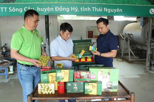 Chung tay xây dựng nhãn hiệu tập thể 'Chè Sông Cầu'