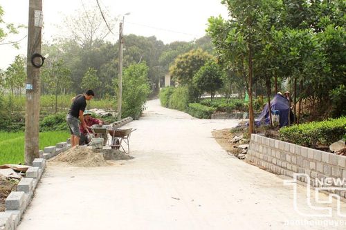 Về xóm kiểu mẫu Gò Pháo