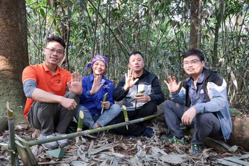 Thưởng trà cổ thụ trên đỉnh núi thiêng