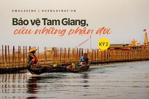 Bảo vệ Tam Giang, cứu những phận đời - Kỳ 2