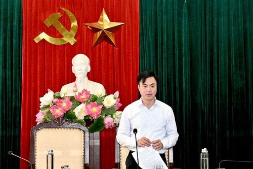 Vĩnh Yên (Vĩnh Phúc): Thống nhất phương án cưỡng chế thu hồi đất dự án công viên vui chơi giải trí