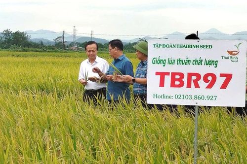 'Ba cùng' với nông dân xây dựng mô hình IPHM