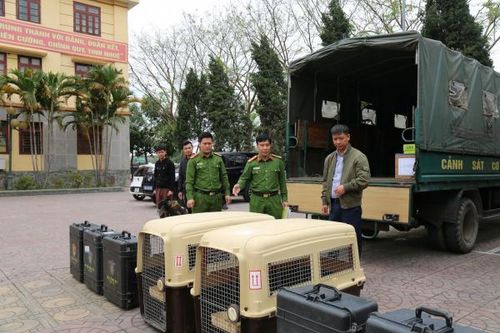 Cảnh sát cơ động mang theo chó nghiệp vụ tham gia Đội cứu nạn, cứu hộ của Bộ Công an tại Myanmar