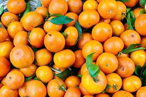 Loại quả giúp tăng miễn dịch rao bán đầy chợ với giá chỉ hơn 10.000 đồng/kg