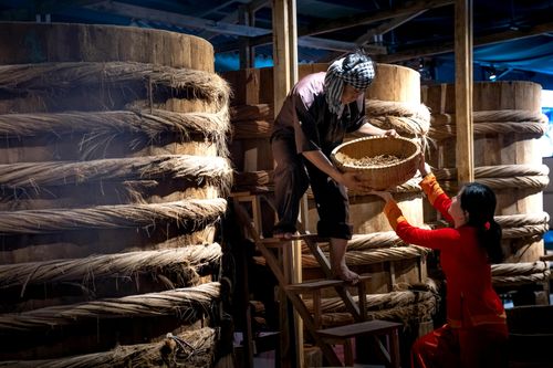 Sợ hết cá cơm làm nước mắm Việt