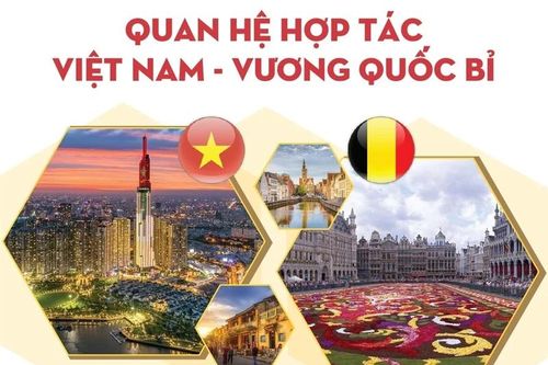 Bắc nhịp cầu hợp tác, hữu nghị Việt Nam-Bỉ