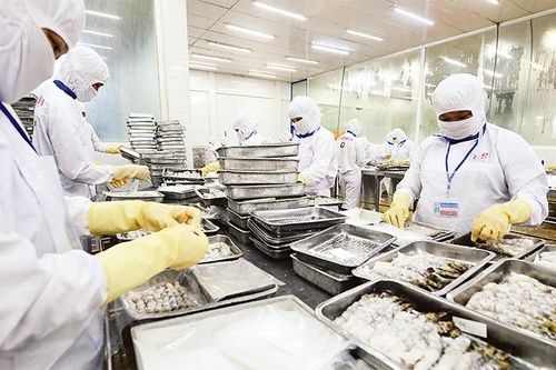 Doanh nghiệp thủy sản tăng cường kiểm tra, giám sát hàm lượng asen vô cơ trong cá và thủy sản