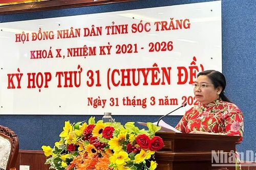 Sóc Trăng thông qua các khu đất thực hiện đấu thầu dự án đầu tư điện gió