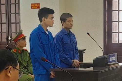 Vận chuyển thuê ma túy, hai thanh niên cùng quê 'cõng' luôn án tù chung thân