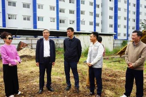 Khuyến cáo người dân cảnh giác với các thông tin lừa đảo, 'cò' nhận làm hồ sơ đăng ký mua nhà ở xã hội