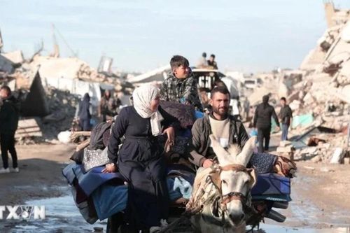 Israel đàm phán với nhiều nước về di dời người Palestine