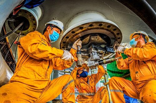 Cuộc thi ảnh 'Đất nước ngàn hoa': Đóng cổng nhận ảnh lúc 11 giờ 30 ngày 1-4-2025