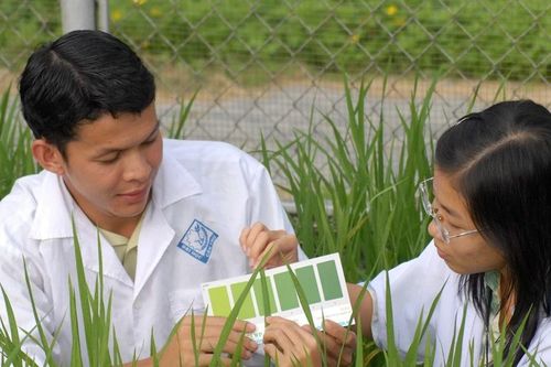 Quy hoạch mạng lưới cơ sở GD đại học: Trách nhiệm của trường trọng điểm?