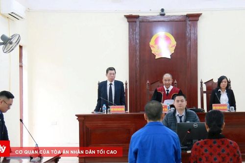 Từ nhân viên dọn dẹp đến bị cáo trộm cắp tài sản