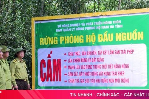 Huyện Kỳ Anh tập trung bảo vệ rừng tại gốc