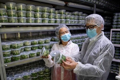 'Mời công nghệ Israel': Nhiều nông sản Việt cần 'cú hích' để nâng cao giá trị
