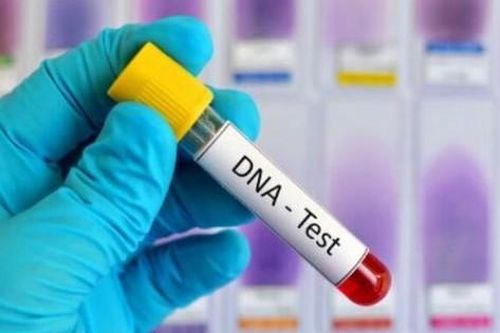 Rủ nhau đi xét nghiệm ADN, đôi bạn thân phát hiện bí mật động trời