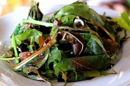 Loại rau mọc dại là đặc sản 'trời ban' vì không hóa chất, vị dẻo bùi lạ miệng lại ngon