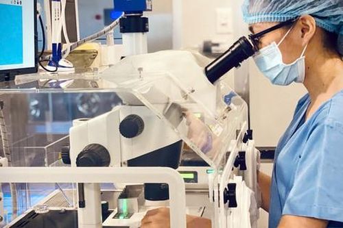 Dư thừa hàng chục ngàn phôi sau khi làm thụ tinh trong ống nghiệm: Xử lý thế nào?