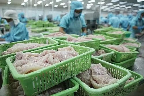 Thủy sản Việt chủ động thích ứng quy định asen tại EU