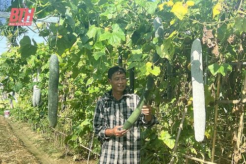 Nhân rộng các mô hình kinh tế hiệu quả