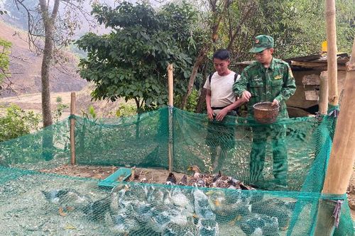 Nhiều mô hình giúp dân phát triển kinh tế ở Đồn Biên phòng Huổi Luông