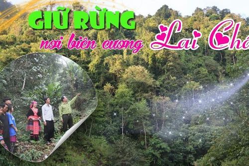 Giữ rừng nơi biên cương Lai Châu