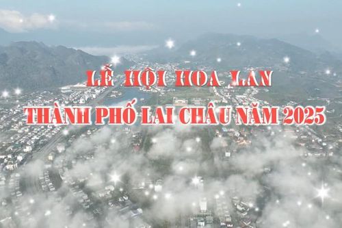Lễ hội hoa Lan thành phố Lai Châu năm 2025