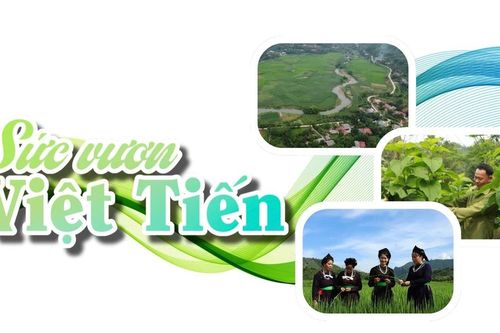 Sức vươn Việt Tiến