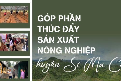 Góp phần thúc đẩy sản xuất nông nghiệp huyện Si Ma Cai