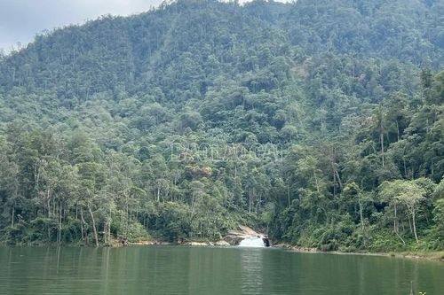 Bổ sung đối tượng chi trả tiền dịch vụ môi trường rừng