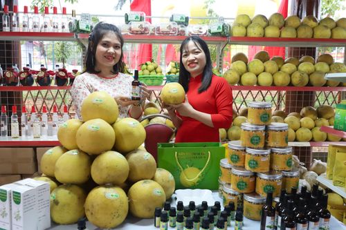 Vui hội Đền Hùng