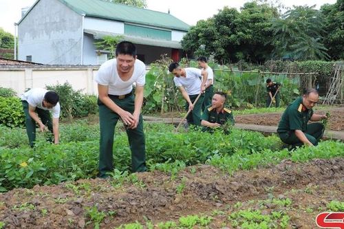 Bảo đảm hậu cần, nuôi quân khỏe