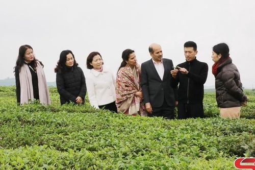 Đại sứ đặc mệnh toàn quyền Cộng hòa Ấn Độ tại Việt Nam thăm mô hình nông nghiệp, du lịch ở Mộc Châu