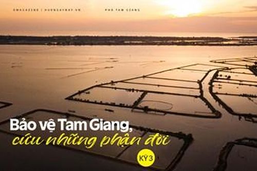 Bảo vệ Tam Giang, cứu những phận đời - Kỳ 3
