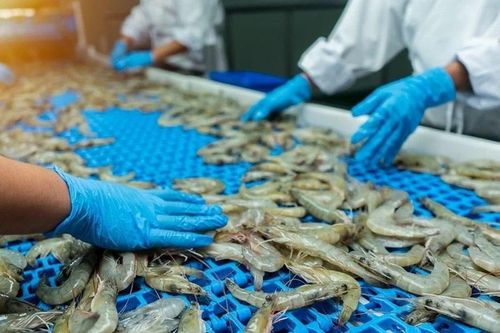 Nhà nước cần tạo môi trường để doanh nghiệp tư nhân tiên phong đầu tư
