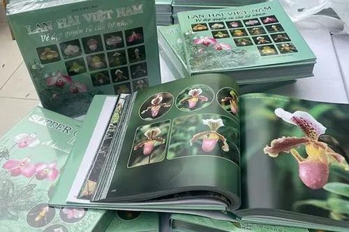 Bảo tồn lan hài Việt Nam qua những trang sách