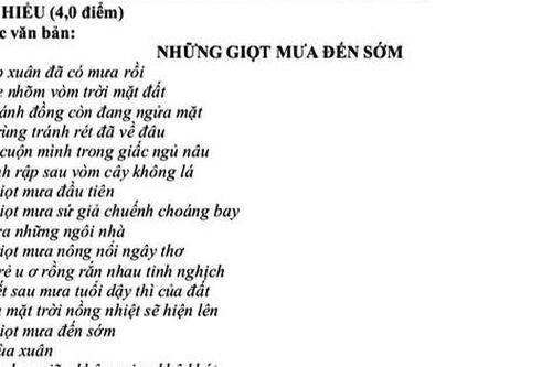'Những giọt mưa đến sớm' của Nguyễn Linh Khiếu vào đề thi Ngữ văn