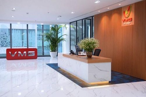 VMG (ABC) báo lãi 2024 thấp nhất 17 năm, trình cổ đông không chia cổ tức