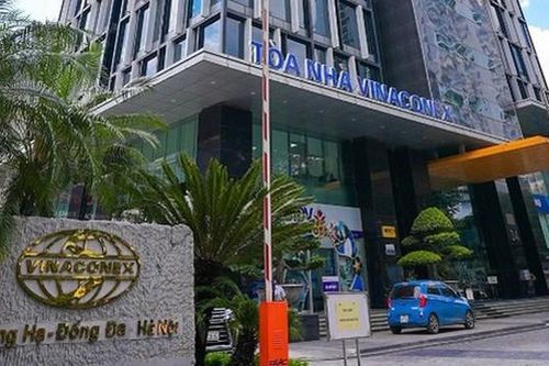 Thành viên Hội đồng quản trị độc lập Vinaconex (VCG) Trần Thị Thu Hồng xin từ nhiệm