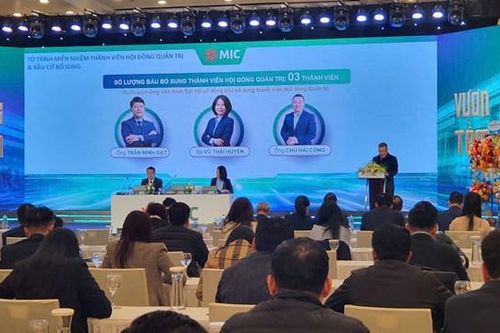 ĐHĐCĐ 2025 Bảo hiểm Quân đội (MIC): Đặt mục tiêu lợi nhuận tăng 75%, bầu mới 3 thành viên Hội đồng quản trị